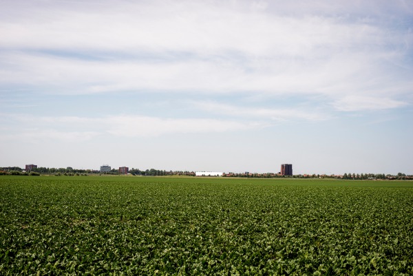 Open landschap