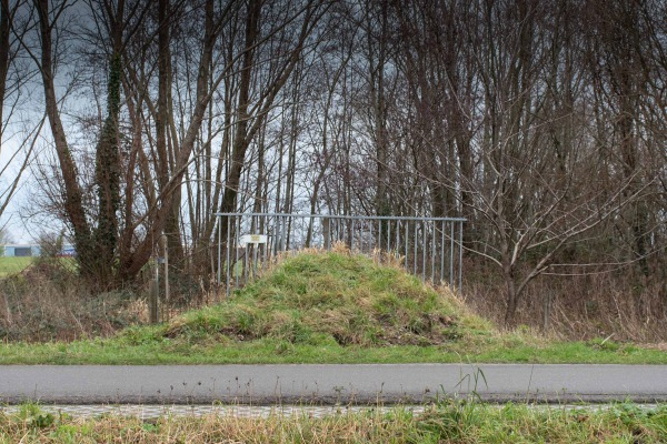 Hekken | Foto: Denise Abbas, inzending 2021