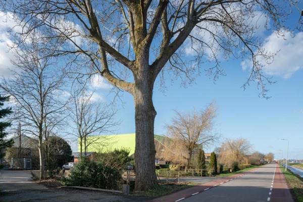 Ruimte voor grootschalige woningbouw in Legmeerpolder-Noord (foto Theo Baart).