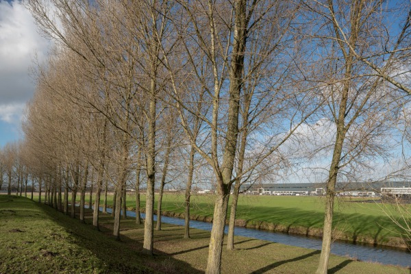 Geniedijk Rijsenhout, Unesco Werelderfgoed / bedrijventerrein uit: Groot-Amsterdam (2020) © Theo Baart